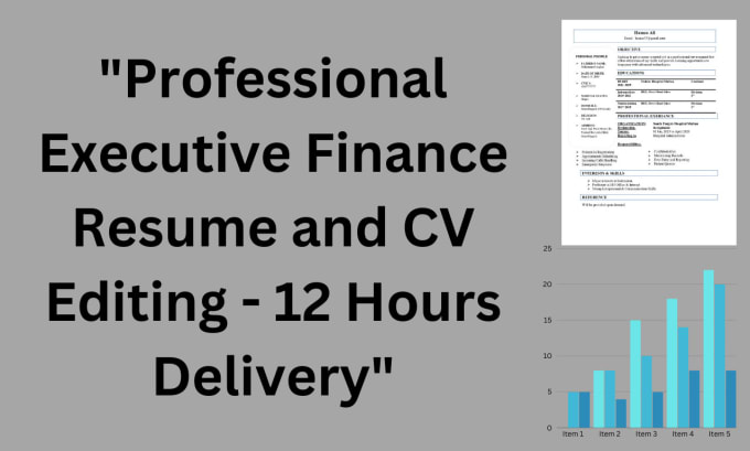 Gig Preview - Professional executive finance resume and CV editing 12 hours