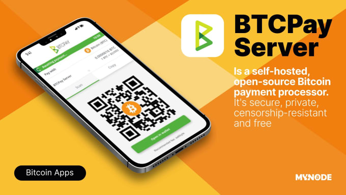 Gig Preview - Do a seamless btcpay server integration for your business