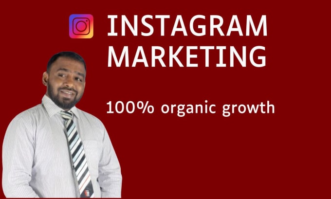 Gig Preview - Do instagram marketing and manage your page organically