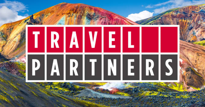 Gig Preview - Be your travel assistant and a travel patner