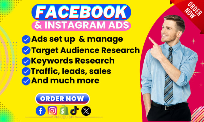 Gig Preview - Create your facebook ads and instagram ads campaign