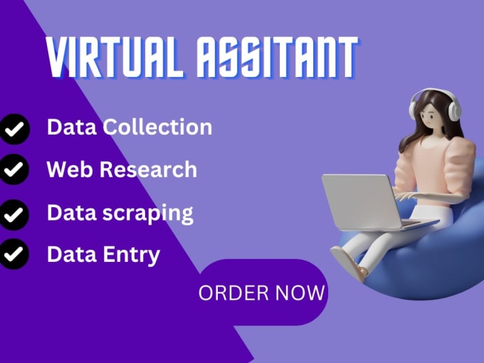 Gig Preview - Be your virtual assistant for data entry, data mining, copy paste, web research