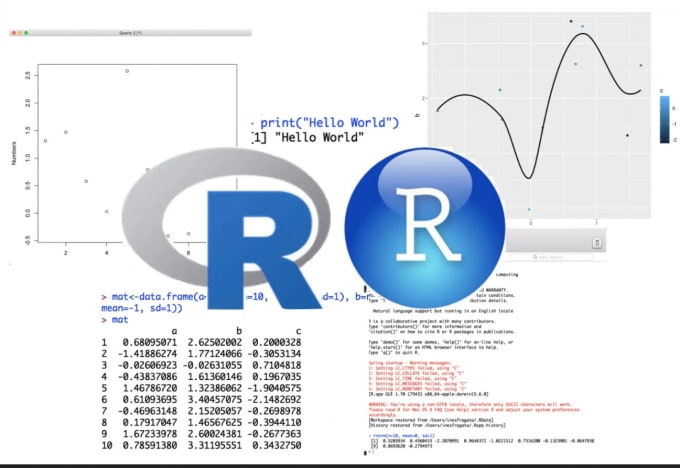 Gig Preview - Analyze your qualitative data using r programming and excel