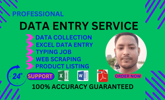 Gig Preview - Professional data entry service for you