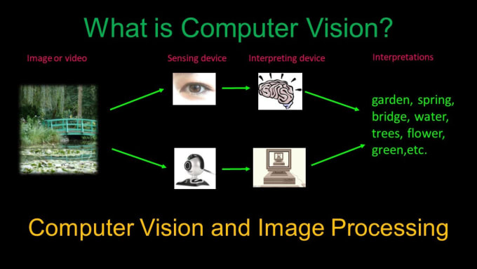 Gig Preview - Do image processing, computer vision and AWS cloud