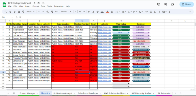 Gig Preview - Provide customized staffing database, your talent pipeline