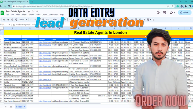 Gig Preview - Your personal virtual assistant for data entry and lead gen