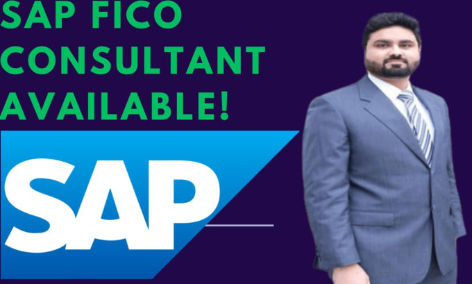 Gig Preview - Provide sap erp finance hana training consultation