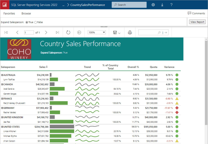 Gig Preview - Setup pixel perfect power bi paginated and ssrs report for you