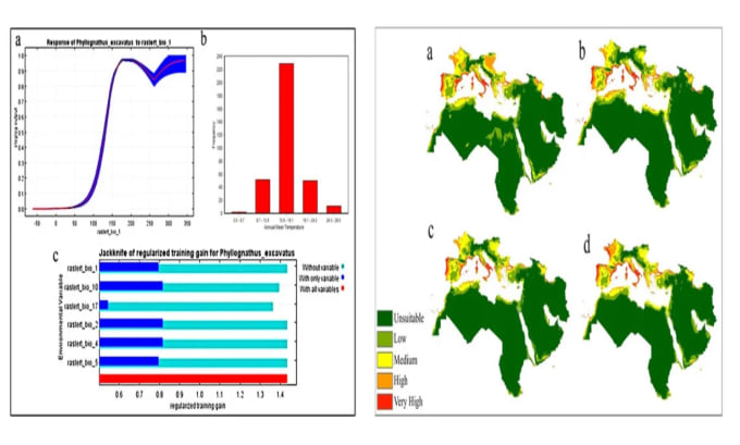 Gig Preview - Do geospatial analysis using gis software programming and geographic data