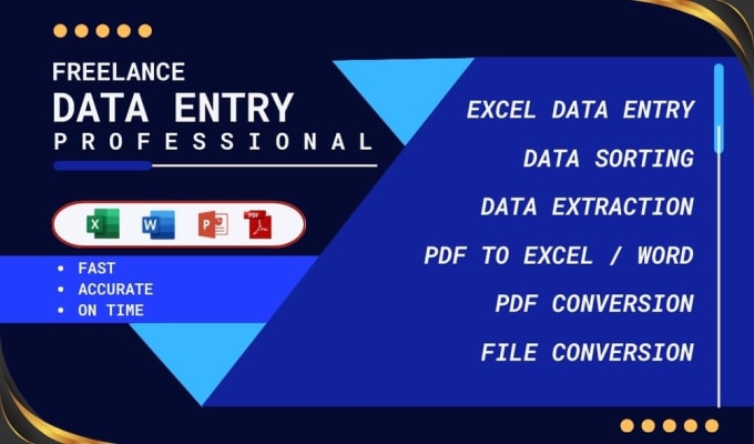 Gig Preview - Do freelance data entry work for you