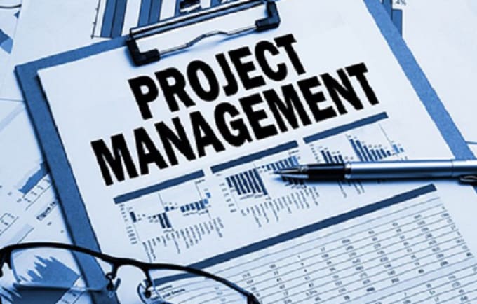 Gig Preview - Do project and program management consultancy