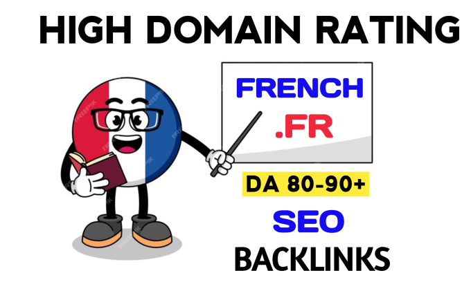 Gig Preview - Do 150 high authority french dofollow seo backlinks on france based fr domain