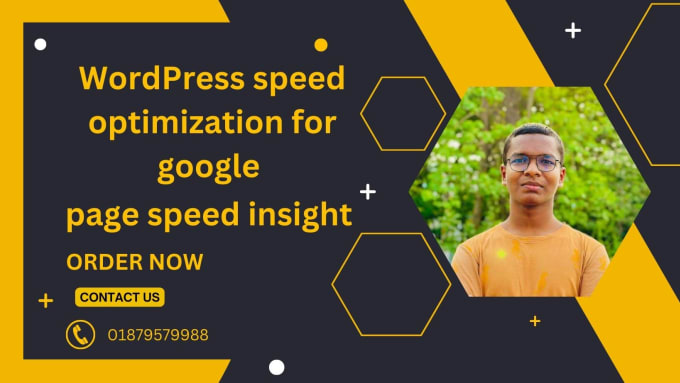 Gig Preview - Create wordpress speed optimization for google page speed insight