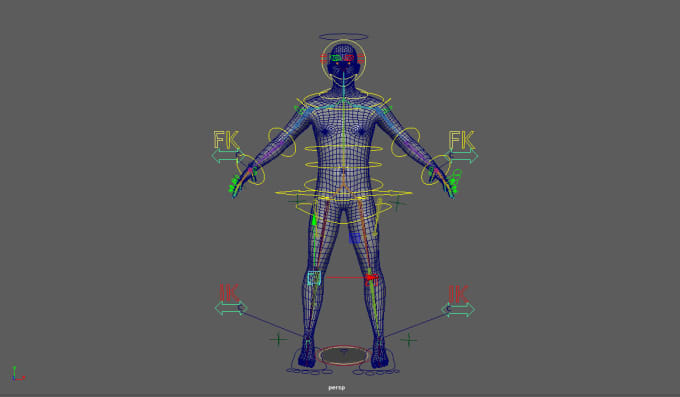 Gig Preview - Create the rig for 3d character in maya and blender