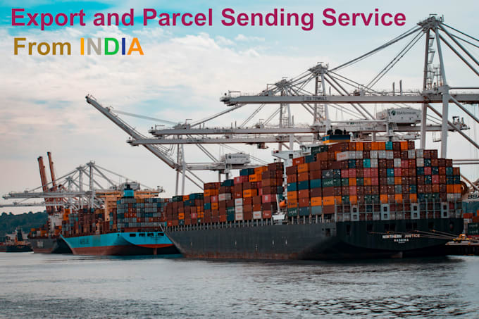 Gig Preview - Send parcel, items from india to your country