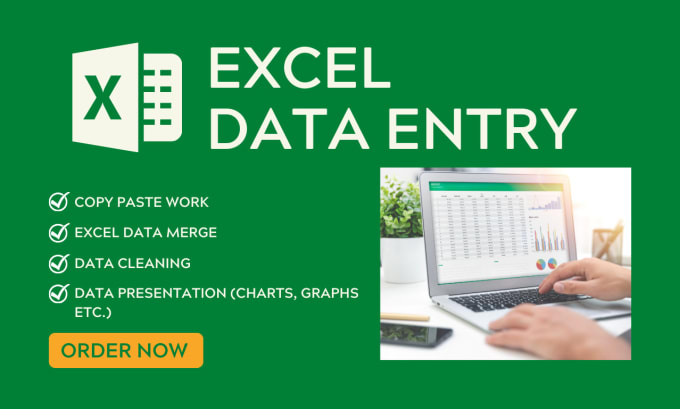 Gig Preview - Do excel data entry and cleaning, copy paste, PDF to excel