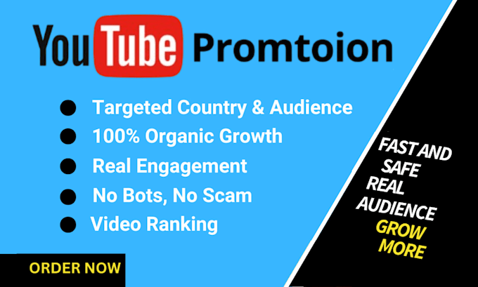 Gig Preview - Do super fast organic youtube video promotion with google ads