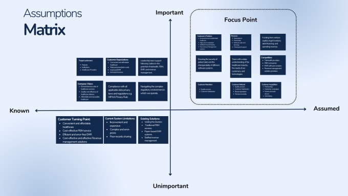 Gig Preview - Be your assumptions mapping expert