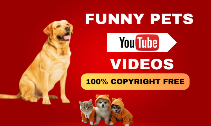 Gig Preview - Compile 50 funny pets and animal videos for youtube