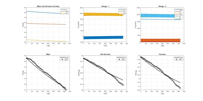 Gig Preview - Provide a tool that models your body weight and calculate weight forecasts