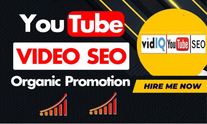 Gig Preview - Do best  high  rank youtube video SEO with vidiq and tubebuddy