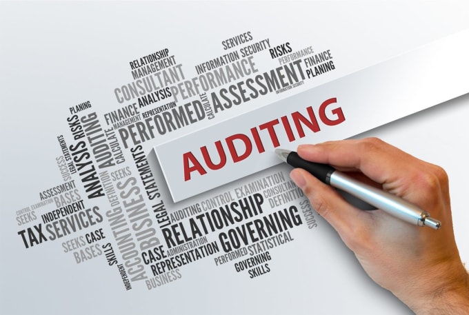 Gig Preview - Do auditing, financial reporting and risk analysis