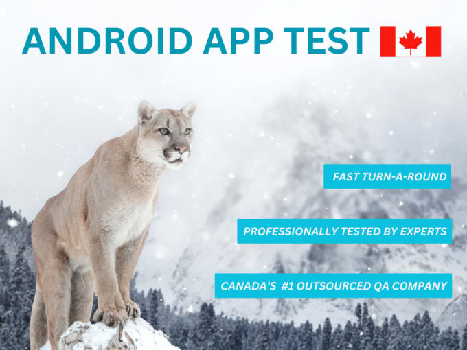 Gig Preview - Provide a professional android app test