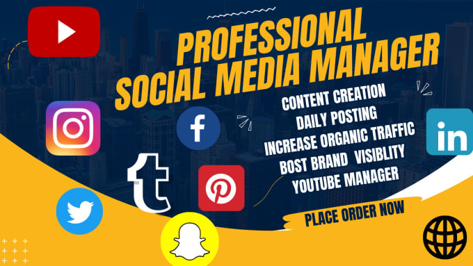 Gig Preview - Be your professional social media manager and digital marketing manager