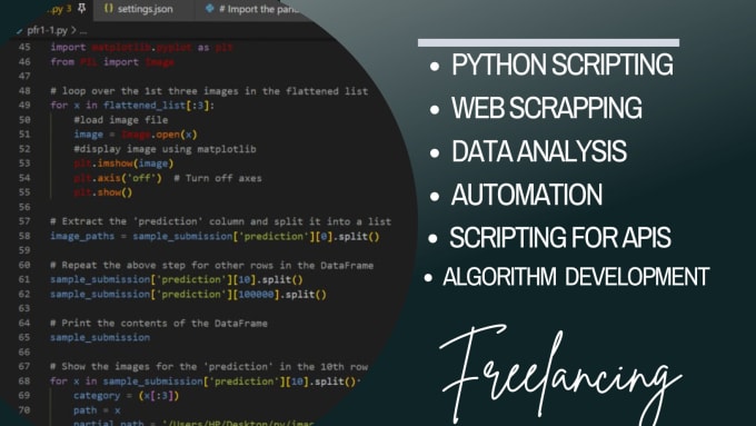 Gig Preview - Do python scripting, automation, API integrations, and tools development