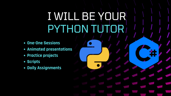 Gig Preview - Be your python tutor, beginner to advanced