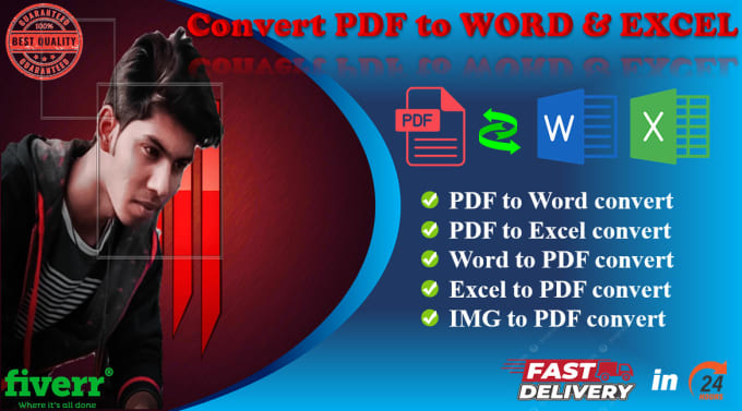 Gig Preview - Convert PDF to excel or word