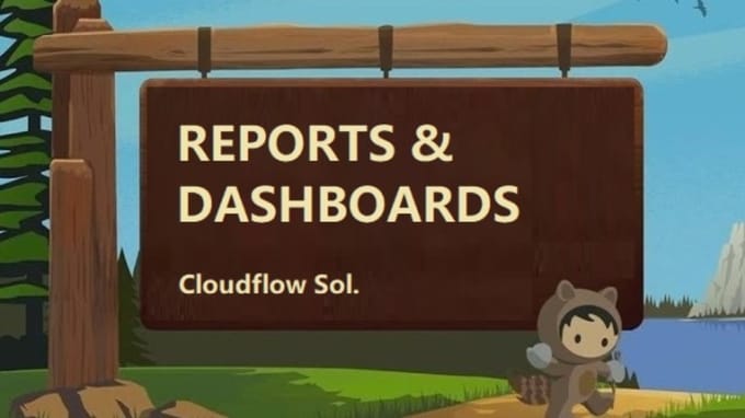 Gig Preview - Create a professional salesforce report and dashboard