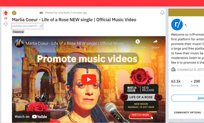 Gig Preview - Promote your music video with over 10k followers