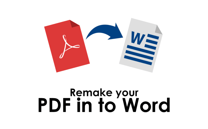 Gig Preview - Remake your PDF in to word