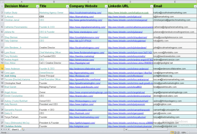 Gig Preview - Do data entry and copy paste job solutions