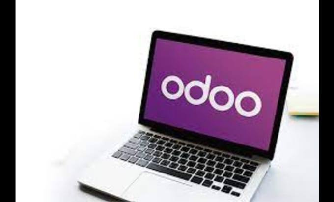 Gig Preview - Odoo development and customization