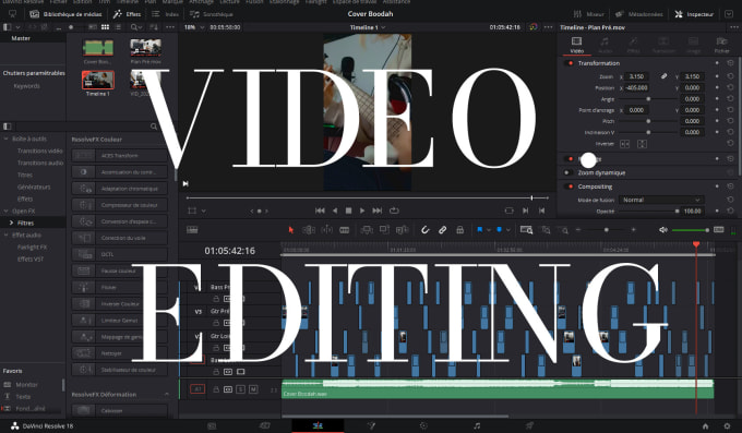 Gig Preview - Edit your professional videos