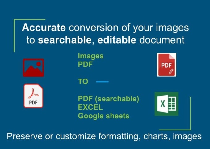 Gig Preview - Convert scanned images or PDF to excel accurately with formatting