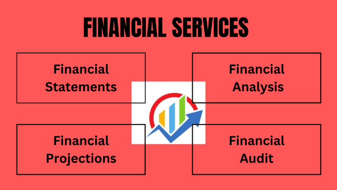 Gig Preview - Craft your financial success, expert financial statements