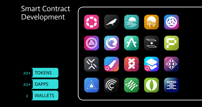 Gig Preview - Create solana and evm rust programs and solidity contracts