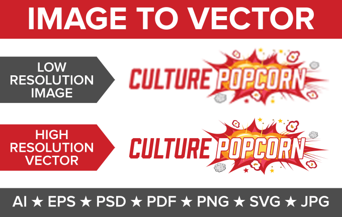 Gig Preview - Convert image to vector file in ai, png, svg, PDF, jpg