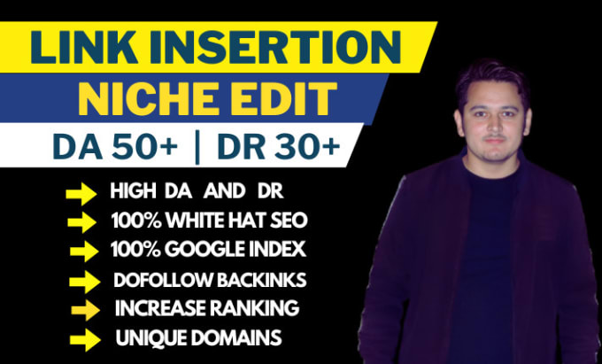 Gig Preview - Do niche edit services, link insertion services for SEO backlinks curated links