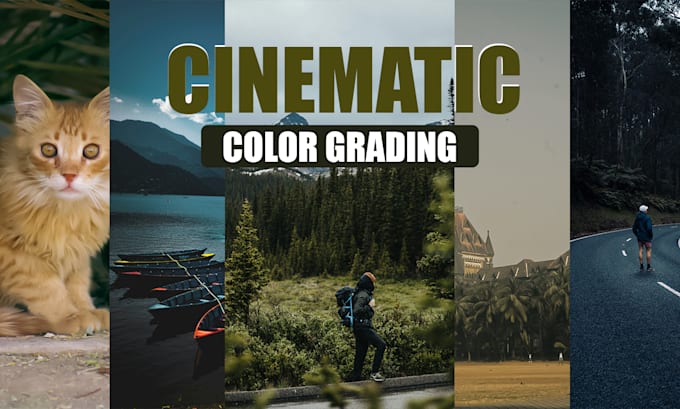 Gig Preview - Do cinematic color grade and color correct video as colorist