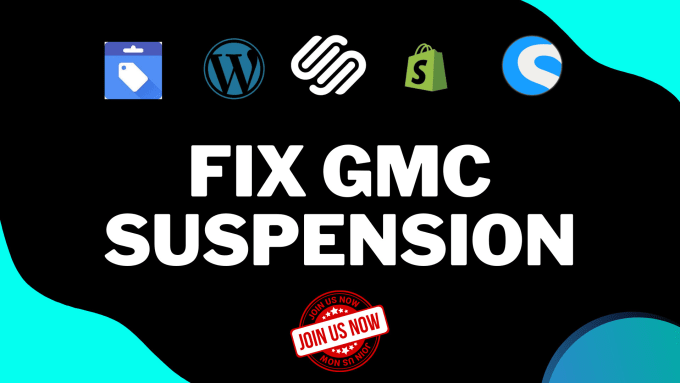 Gig Preview - Fix google merchant center suspension