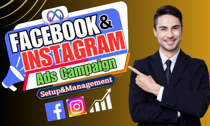 Gig Preview - Setup facebook and instagram ads campaign