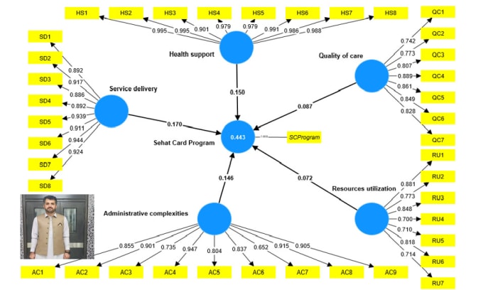 Gig Preview - Do data analysis in smartpls