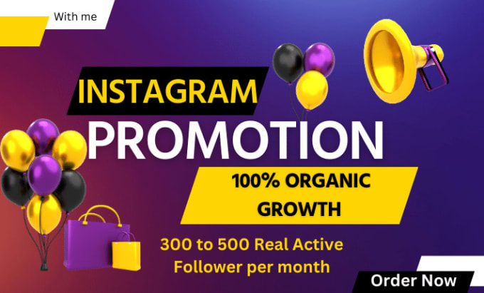 Gig Preview - Do instagram account followers grow fast and organically