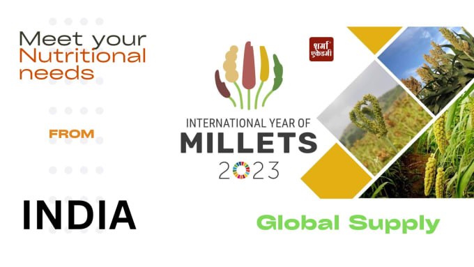 Gig Preview - Be your millets sourcing agent from india