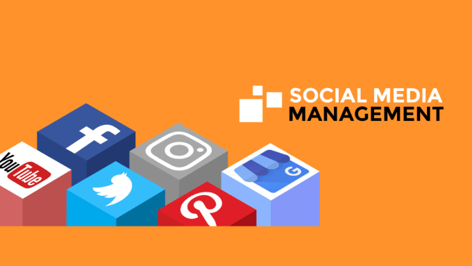 Gig Preview - Be your social media manager and personal assistant